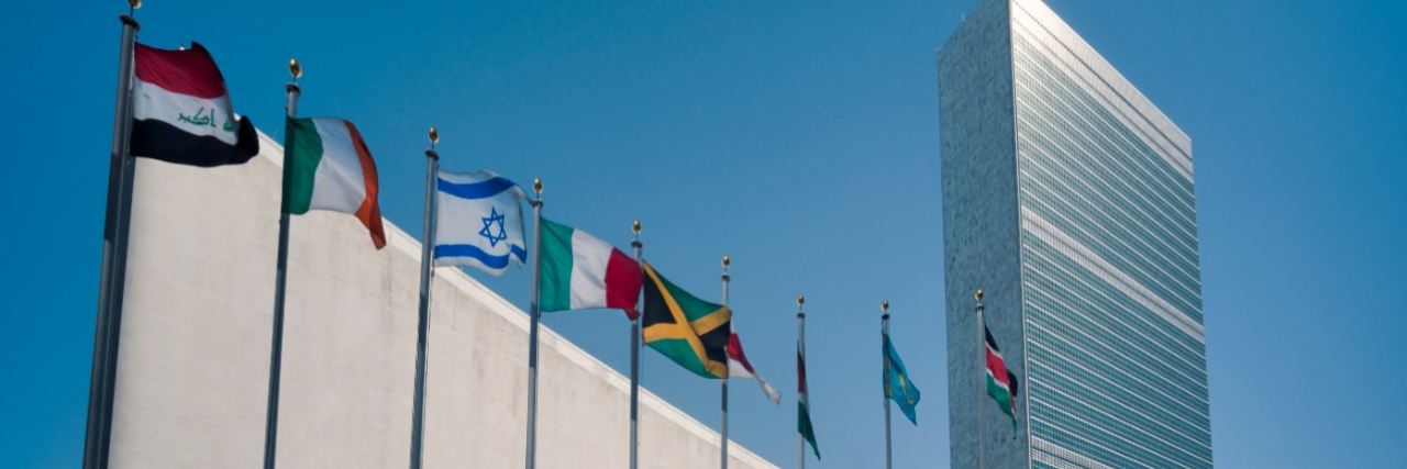 UN and Flags