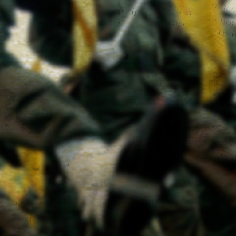 Blurred photo of a Hezbollah flag