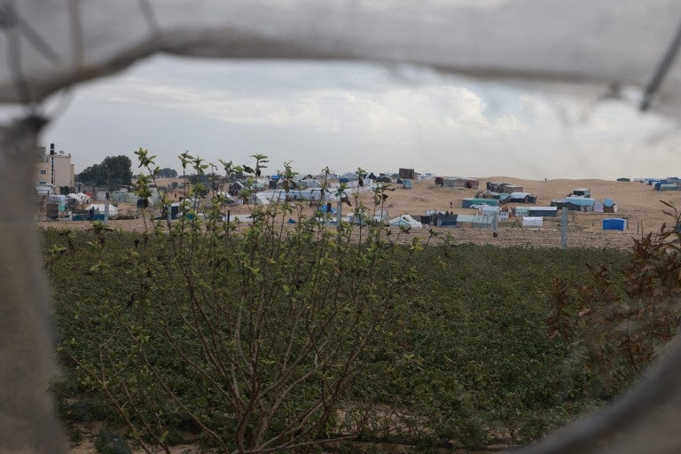 Gaza tents