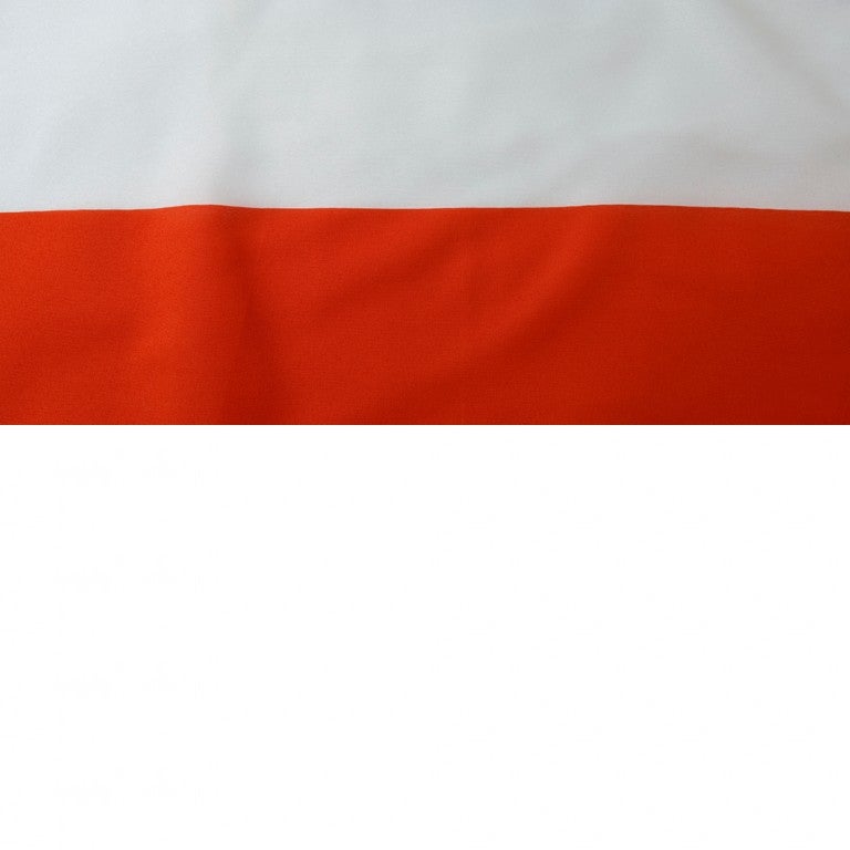 Image of the Polish Flag