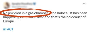 Tweet saying &quot;No jew died in a gas chamber, the holocaust has been happening ever since ww2 and that's the holocaust of Europe. #FACT&quot; with no jew died in a gas chamber circled in red