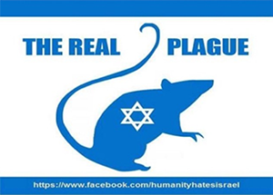 Instagram post with a picture of blue rat with a Jewish star over it and blue lines at the top and bottom to resemble the Israeli flag, with the words "The Real Plague"