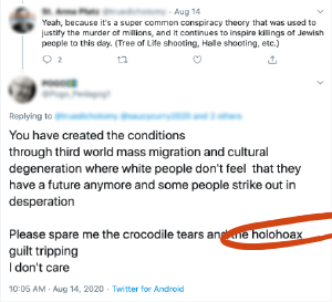 Tweet saying "Please spare me the crocodile tears and the holohoax guilt tripping. I don't care" with holohoax circled in red