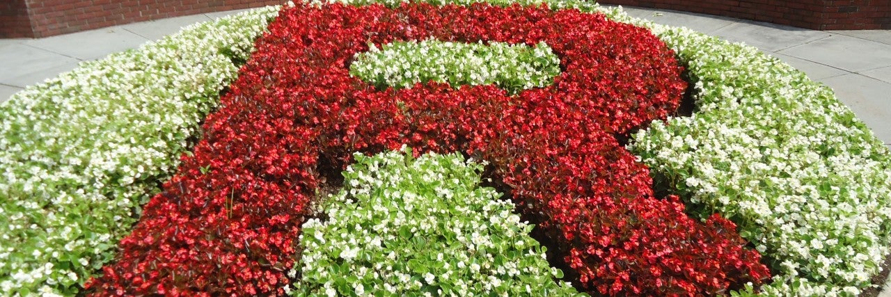 Photo of Rutgers "R" in the grass