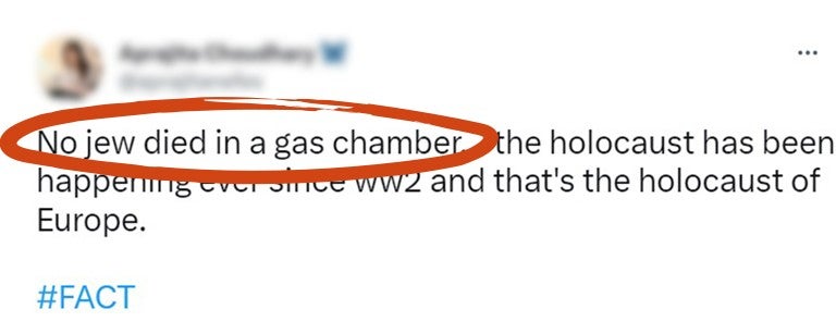 Tweet saying &quot;No jew died in a gas chamber, the holocaust has been happening ever since ww2 and that's the holocaust of Europe. #FACT&quot; with no jew died in a gas chamber circled in red