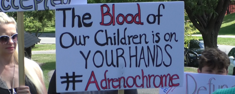 Photo of a protest sign saying "The Blood of Our Children is on YOUR HANDS #Adrenochrome"