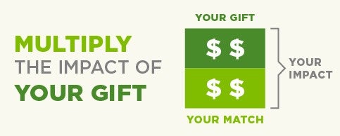 Graphic displaying Multiply the impact of your gift