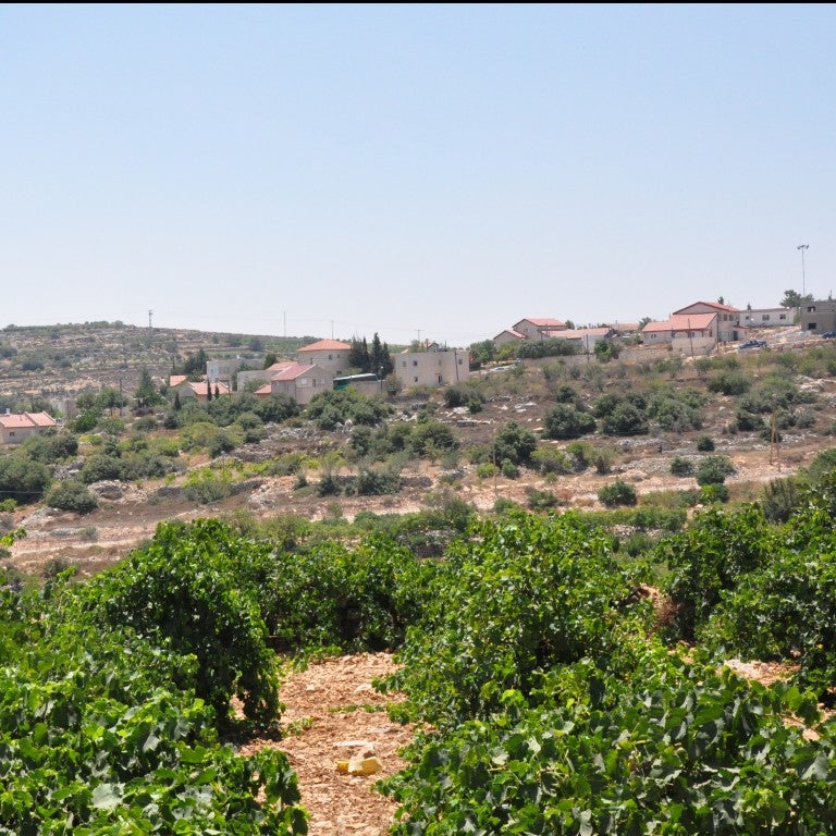 AJC Disappointed by Knesset Action Authorizing Illegal Settlement Outposts
