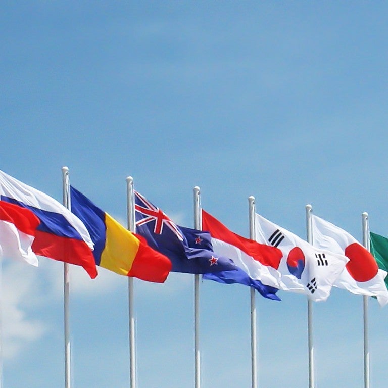Photo of world flags