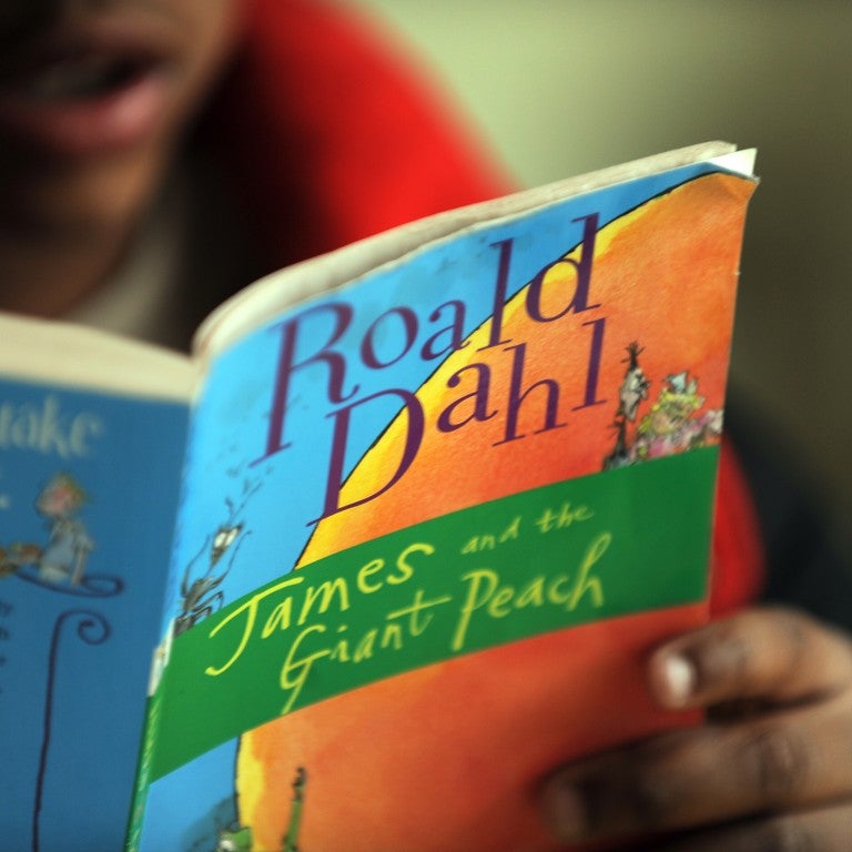 A child reads Roald Dahl's James and the Giant Peach